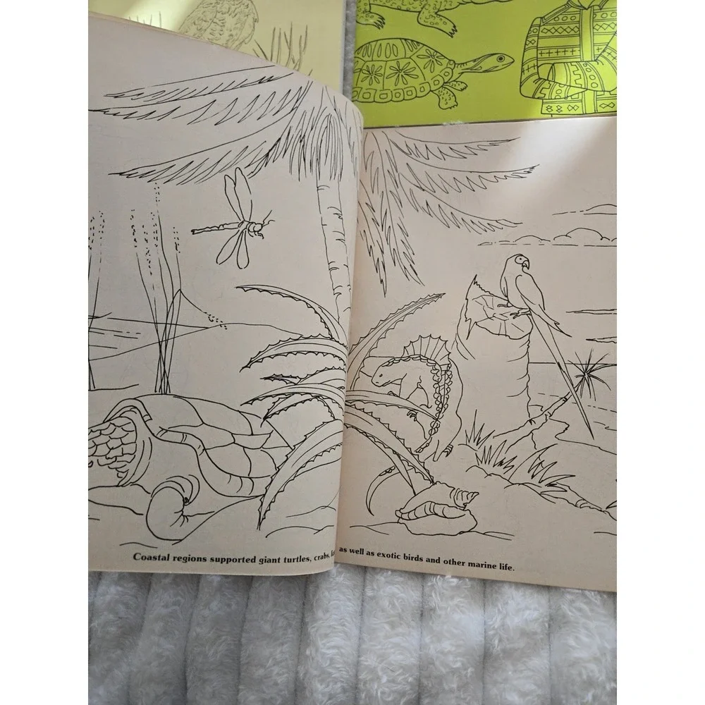 4 Nature Coloring Books Florida Audubon's Birds Everglades West Wildlife Gift